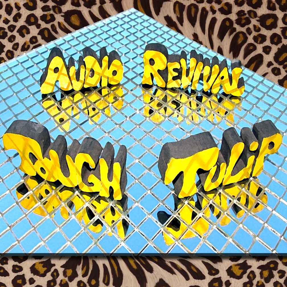 three dimensional letters on a mirror-square sheet, spelling Tough Tulip Audio Revival